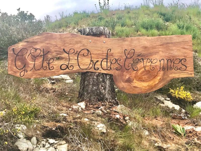 Gite L'Or Des Cevennes Saint-Andre-Capceze Εξωτερικό φωτογραφία