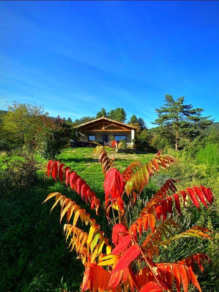 Gite L'Or Des Cevennes Saint-Andre-Capceze Εξωτερικό φωτογραφία